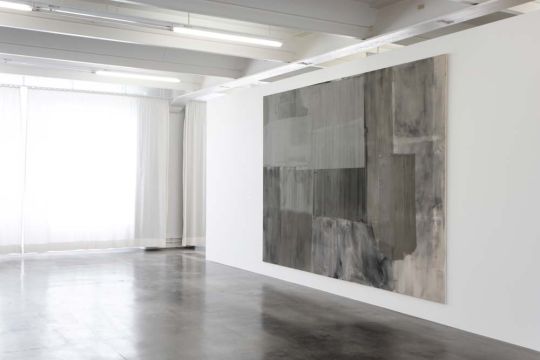 Testbild mit Gr&uuml;nstich, 2008. Acryl/Nessel, 260 x 380 cm. Foto: J&uuml;rgen Wittke