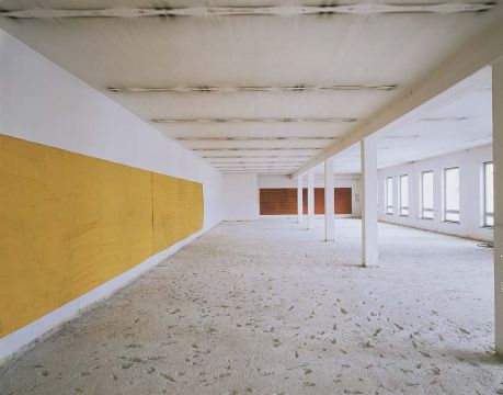 Baumalerei. Meister-H&ouml;fe, M&uuml;nchen 1999. Foto: Florian Holzherr