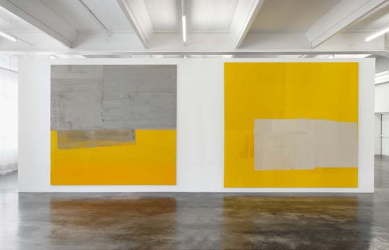 Was tun mit Farbe. Kunstverein Reutlingen, 2009: Pause, 2008. Acryl/Nessel, 270 x 280 cm. Sp&auml;ter, als wir dann geheiratet hatten, 2008. Acryl/Nessel, 280 x 300 cm. Foto: J&uuml;rgen Wittke