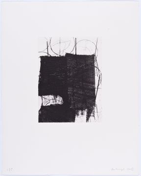 Ohne Titel, 2013. Kaltnadel, 48 x 38 cm, Platte: 23,5 x 17,8 cm, Auflage: 5