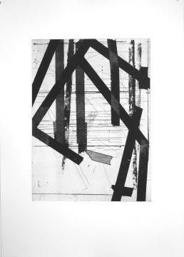 Ohne Titel, 2010. Aquatinta/Radierung, 53,5 x 38 cm, Platte: 33,2 x 24,5 cm, Auflage 5